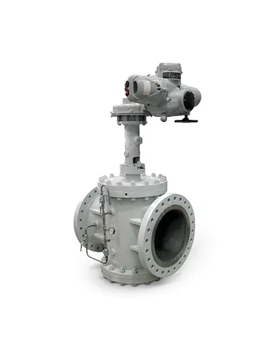 eccentric plug valve